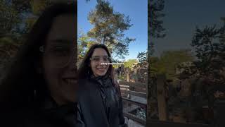 Paseando en Disneyland Paris ❤️  en TikTokIG pilisuagi vlog quecomoenundia argentina disney [upl. by Elwee214]