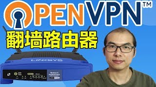 😀用OpenVPN打造😍超强OpenWRT路由器，让你轻松科学上网 [upl. by Emerald980]