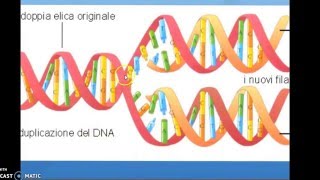 DNA trascrizione e traduzione [upl. by Asirret]