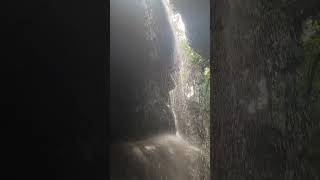 Inside Somerset Falls Cave shortsvideo jamaicaadventure trendingshorts nature explorejamaica [upl. by Earb960]