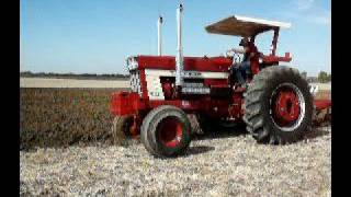 IH 1566 BS 1468 1466 1066 plowing [upl. by Hazelton642]