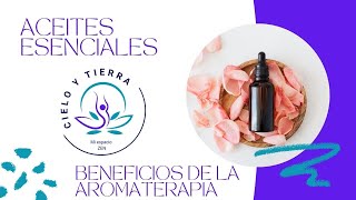 Descubre los Poderosos Beneficios de la Aromaterapia Salud y Bienestar con Aceites Esenciales [upl. by Il]