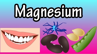 Magnesium  How Much Magnesium Does The Body Need  Why Does The Body Need Magnesium [upl. by Langer]