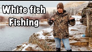 Whitefish Fishing Tips amp Techniques [upl. by Aniweta118]