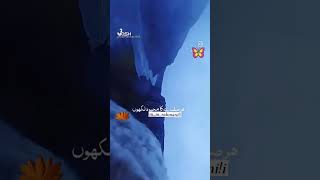 muslimfemale love kattarmuslim muslimgirl answer muslimworld shortsviral videoviral [upl. by Richmal]