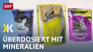 Katzenfutter im Test Jedes zweite Nassfutter ist ungesund  2017  Kassensturz  SRF [upl. by Treblihp]