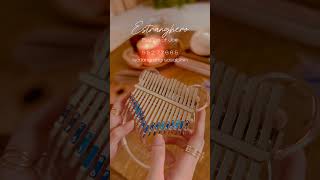 Estranghero by Cup of Joe 🪷  easy kalimba tabs for beginners kalimbatutorial [upl. by Gustie42]