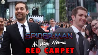 Spider Man No Way Home Tobey Maguire amp Andrew Garfield Red Carpet [upl. by Nerw]