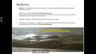 Sedimentology Lecture 7 Part 1 Bedforms under Unidirectional FLow [upl. by Ahsaelat]