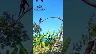 Man Uses Chainsaw To Cut Branch While Walking On It [upl. by Ahiel]