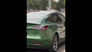 CAXVINYL Factory Direct HD PET Liner Glossy Sonoma Green Car Wrap [upl. by Noside]