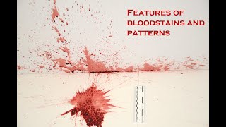 Bloodstain pattern analysis  features of bloodstains and patterns [upl. by Eneladgam373]