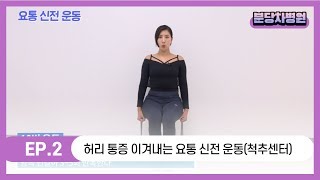 분당차병원 정형외과 척추센터허리통증 이겨내는 재활운동요통 신전 운동 허리 스트레칭 [upl. by Katrina]