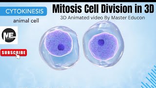 Mitosis Cell Division Explained in 3D  Master Educon  Cell Biology 3D Animation [upl. by Rraval]