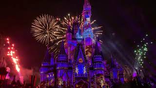 Happily Ever After Fireworks  Disney World [upl. by Eetnuahs]