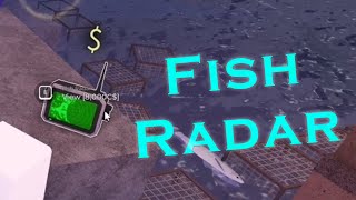 All You Need To Know About Fish Radars  FISCH Roblox [upl. by Anayrb]