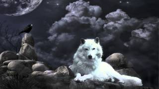 Klaus Schulze  Wolfs Ponticelli [upl. by Kosse544]