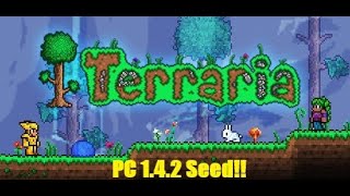 Outdated  New Seed Soon Terraria 142  Fledgling Wings Seed [upl. by Asir140]