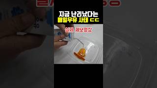 지금 난리났다는 매일우유 사태 [upl. by Nevear]