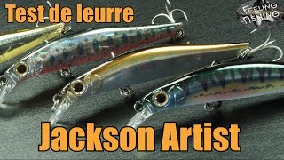 Test de leurre  Jackson Artist  Une famille dartistes [upl. by Hazel33]