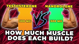 300 MG Testosterone Vs 300 MG Nandrolone  Exactly How Much Muscle Does Each Build [upl. by Lhok]