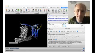 Using AlphaFold protein structures in ChimeraX for cryoEM modeling [upl. by Damicke]