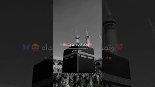 Arabic Nasheed Status  jamal al wajood the beauty of existence heart touching nasheed 🦋🤍 shorts [upl. by Ecidnak431]