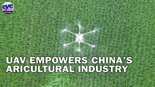 Chinas UAV industry prioritizes applications for agriculture forestry [upl. by Fritzie]