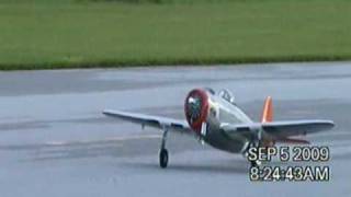 Top Flight P47 ARF Tar Heel Hal Modified [upl. by Elbag]