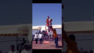 काय नाचतो घोडा bailgada horse horsefan dj sharyat horses horsedance horselover horseriding [upl. by Persian]