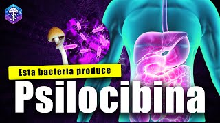 🦠BACTERIAS PSICODÉLICAS Escherichia coli [upl. by Fredericka76]