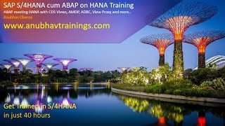 ABAP on HANA Training  S4 HANA CDS Views  HANA on ABAP [upl. by Aufmann]