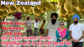 Kiwi Fruit Farming in New Zealand work visa  Kiwi pruning job Business Idea  Full Detail Video [upl. by Nolham]