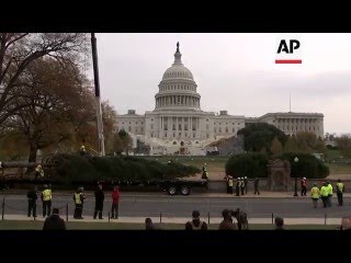 Idaho Christmas Tree Arrives on Capitol Hill [upl. by Nosyrb]