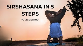 Sirsasana 5 easy steps to perform yogicmethod yogapractice headstand [upl. by Yot721]