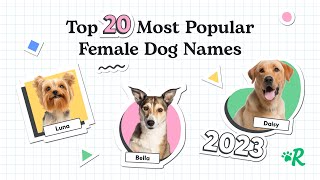 Top 20 Most Popular Female Dog Names of 2023 [upl. by Lukin]