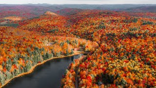 Peak Fall Foliage in New England Experience Autumn [upl. by Otrebogir]