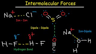 Intermolecular Forces  Hydrogen Bonding DipoleDipole IonDipole London Dispersion Interactions [upl. by Aihsotal]