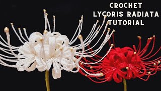 How to Crochet Lycoris Radiata Tutorial  Crochet Flower [upl. by Ecargyram34]