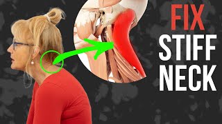 ✅ Neck Pain Relief Treatment Easy Exercise to Fix a Stiff Neck [upl. by Name849]