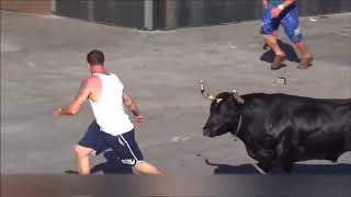 Bull Vs PeopleDemolishing People Compilation [upl. by Yanahc551]