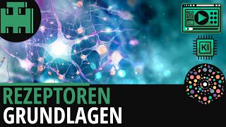 Rezeptoren Grundlagen│Biologie Lernvideo Learning Level Up KI [upl. by Vincenz]