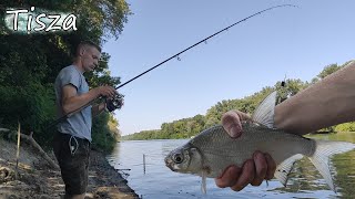 Tisza  Hosszú előkés feederezés az alapoktól [upl. by Rustin]