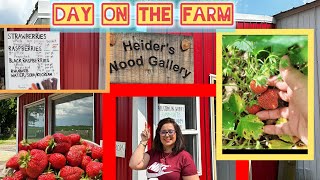 Day on the farm Strawberry amp raspberry youtube farming farmer youtubevideos [upl. by Harriett945]