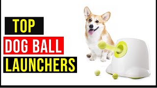 ✅Best Dog Ball Launchers 2022  Top 8 Automatic Ball Launcher for Dogs  Dog Ball Launcher Reviews [upl. by Falo]