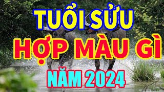 Tuổi Sửu hợp màu gì năm 2024 để mang lại may mắn tài lộc I tuổi sửu kỵ màu gì nhất [upl. by Outlaw]