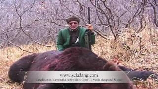 OURS BROWN BEAR HUNTING Chasse KAMCHATKA RUSSIA by Seladang [upl. by Sunshine340]