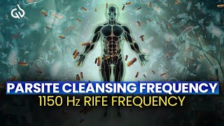 Parasite Frequency Cleanse 1150 Hz Rife Frequency for Parasite Cleansing [upl. by Hanoj373]