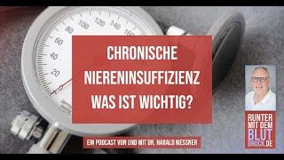 Chronische Niereninsuffizienz was ist wichtig [upl. by Ansel]