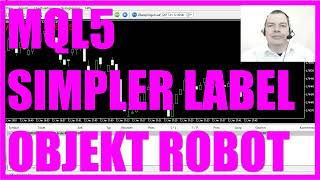 MQL5 TUTORIAL DEUTSCH  SIMPLES OBJEKTORIENTIERTES LABEL [upl. by Yttiy803]